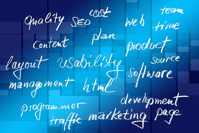 seo and web development