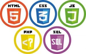 skills need to consider for web development